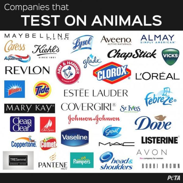 美妆品牌 Lush 5 年花了 150 万英镑打击化妆品动物测试